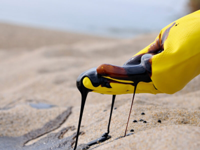 transportation-of-hazardous-materials-thumbnail